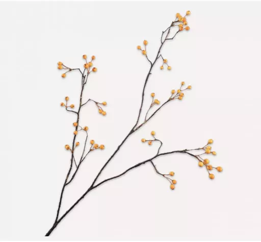 Screenshot 2026-01-28 at 11.27.13.png