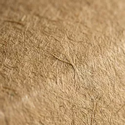 _0000s_0000_Large Multi Food Box Kraft.jpg