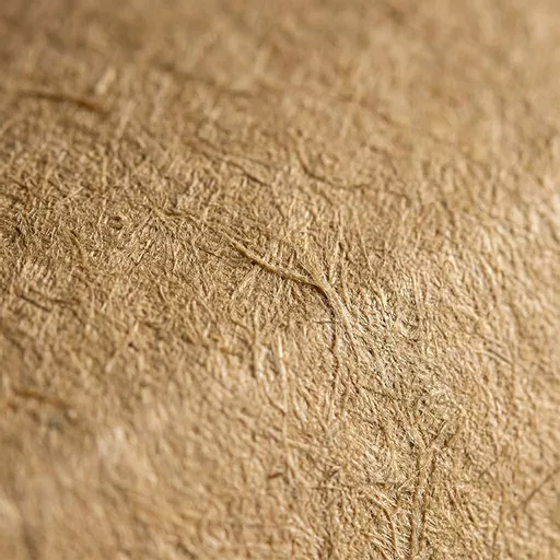 _0000s_0000_Large Multi Food Box Kraft.jpg