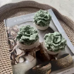 Screenshot 2025-11-12 at 15.46.48.jpg