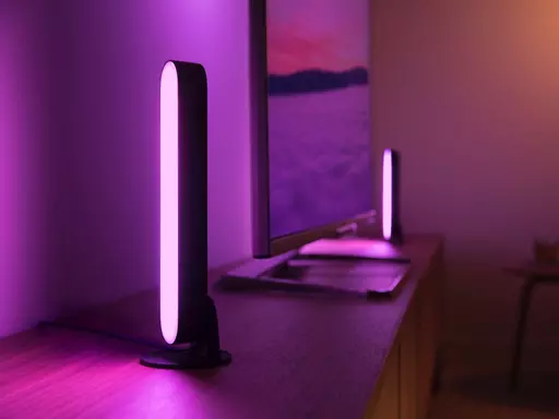 Philips Hue White And Color Ambiance Play Light Bar Double Pack White, Cool  White, Warm White