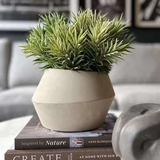 Spiky Succulent In Small Asymmetric Cement Pot