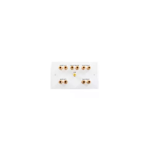 rsz_0_800_92821_white_double_gang_five_one_speaker_wallplate.jpg?