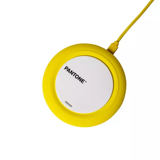 PTWC001Y_02.jpg