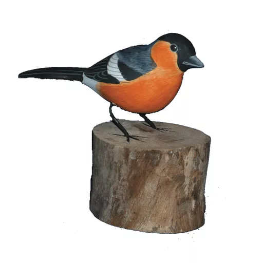 Bullfinch.jpg