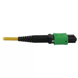 _ArHdjtX80ywX44cTSmIcQ.c-r.jpg?