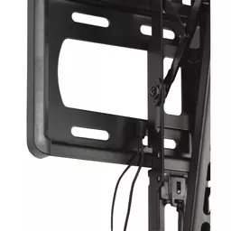 1737728899-76534600.jpg?