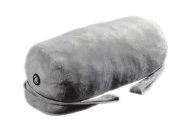 C81228.jpg?date=27022024