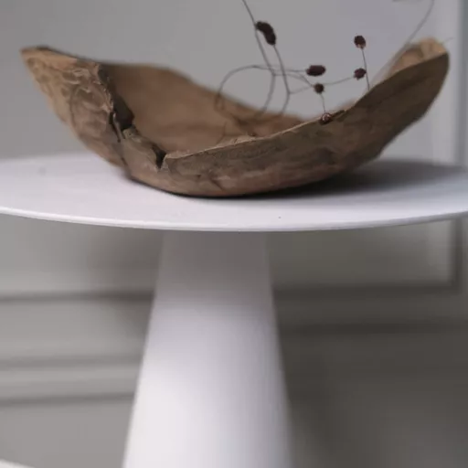 Decorative Bowl, Nova, Nature