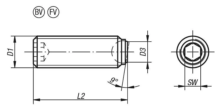 Ball End Thrust Screw. Without Head. With Rotation Lock. Form BV. M6 Thread. 12.1mm Long.