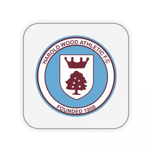 mockup-1763993438329-0-0.png?