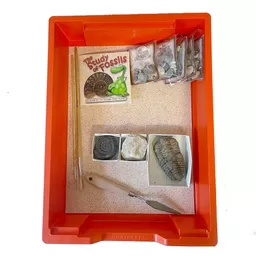 Fossils Archaeology Kit 3.jpg