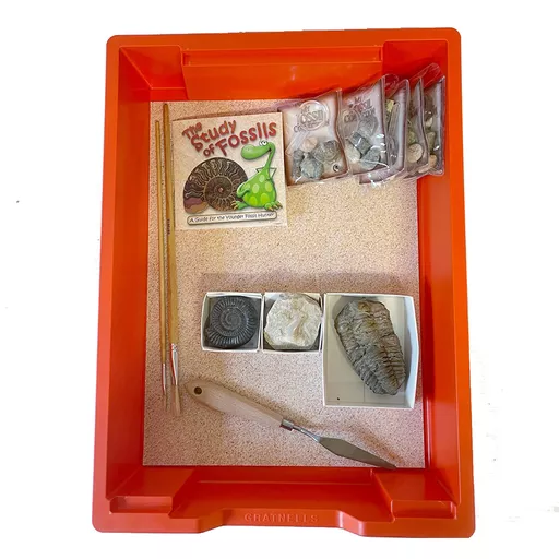 Fossils Archaeology Kit 3.jpg