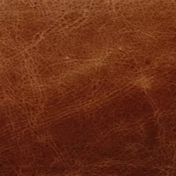 1607634191-05949000.jpg?