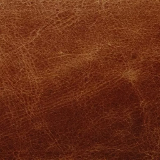 1607634191-05949000.jpg?