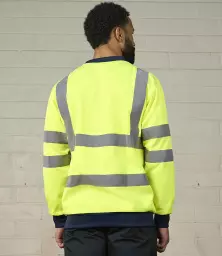 RX730%20YL_NV%20MODEL%202.jpg?