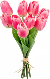 IT393849.jpg