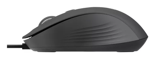 3UnXqrcGKkiGNo6pBYpEaQ.c-r.jpg?
