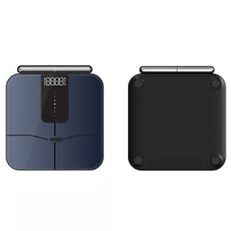 C81303.jpg?date=17022026