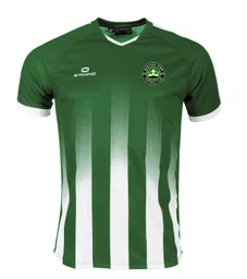 Wantage FC vivid home.png