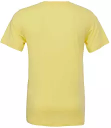 CV3001%20YEL%20BACK.jpg