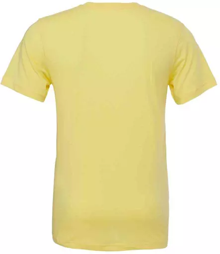 CV3001%20YEL%20BACK.jpg