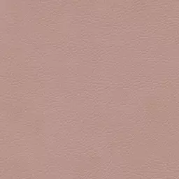 Light Rose Fabric Swatch Light Rose.png