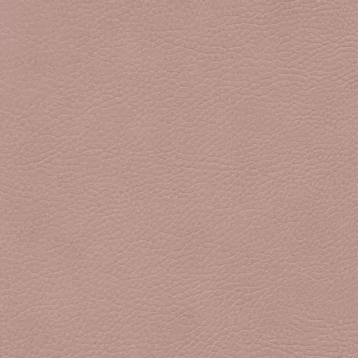 Light Rose Fabric Swatch Light Rose.png