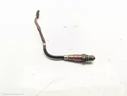 11edc75a-3084-4a11-a2a9-943885c0a2e7.jpeg?
