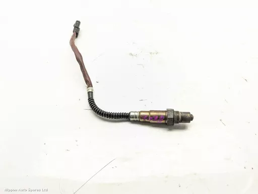 11edc75a-3084-4a11-a2a9-943885c0a2e7.jpeg?