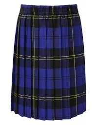 tartan skirt royal.jpg