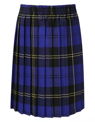 tartan skirt royal.jpg