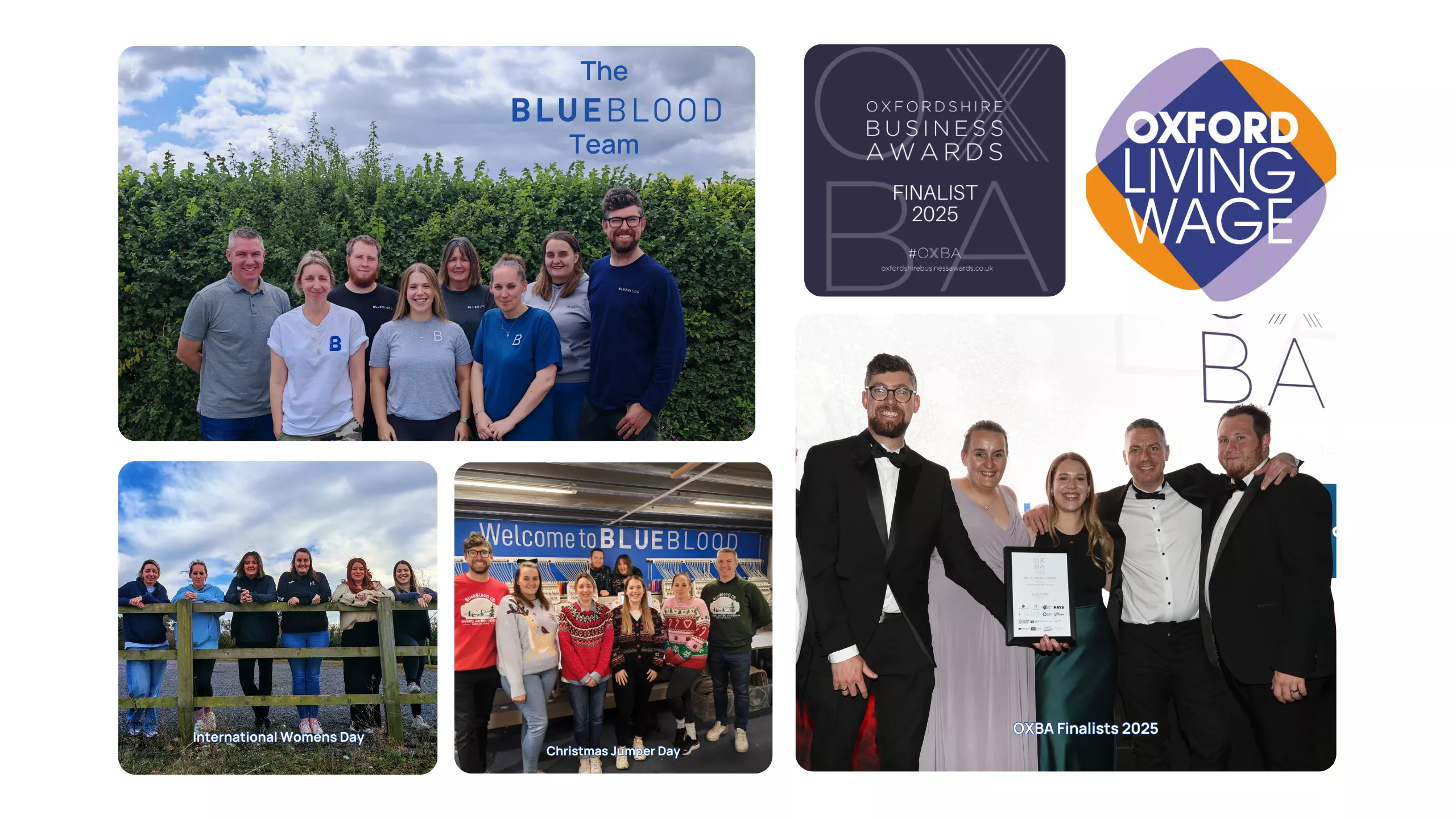 BlueBlood Our History 2025.png