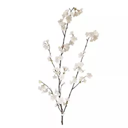 Screenshot 2026-01-28 at 10.33.58.jpg