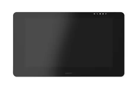 Wacom Cintiq Pro 24 graphic tablet Black 5080 lpi 522 x 294 mm USB