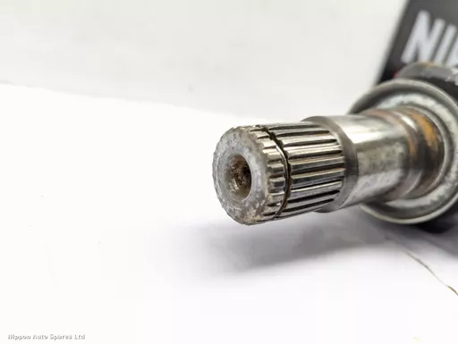 95c235eb-4324-42bd-8381-6f86705923f5.jpeg?