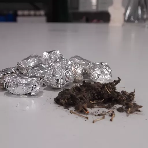 PZ-900_Owl_Pellets_50.webp