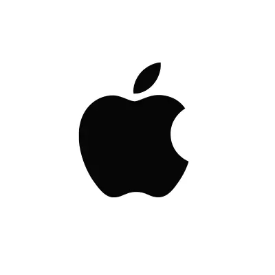 Apple Pay icon
