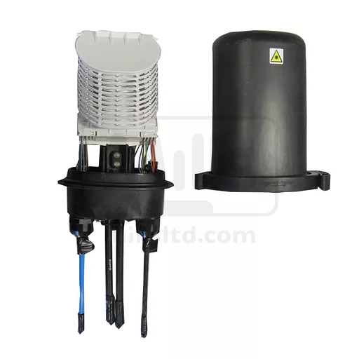 cmj_top1_clipped_web_1.jpg?