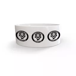 mockup-1771522695782-1-0.jpg?