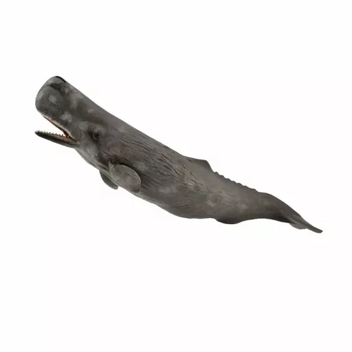 Sperm Whale Figurine