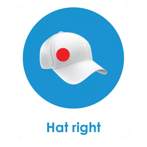 Hat Right.png