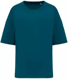 NS313%20PCKG%20FRONT.jpg?