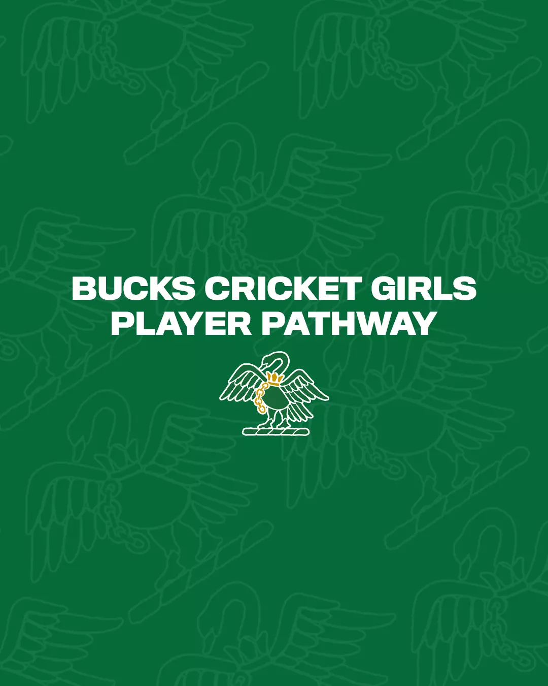 Bucks Cricket Girls Player Pathway Q&A