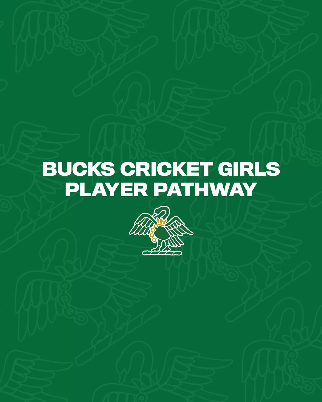 Bucks Cricket Girls Player Pathway Q&A