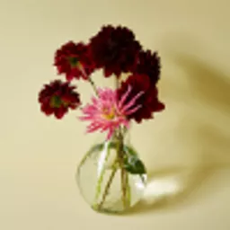 jemima wall.webp