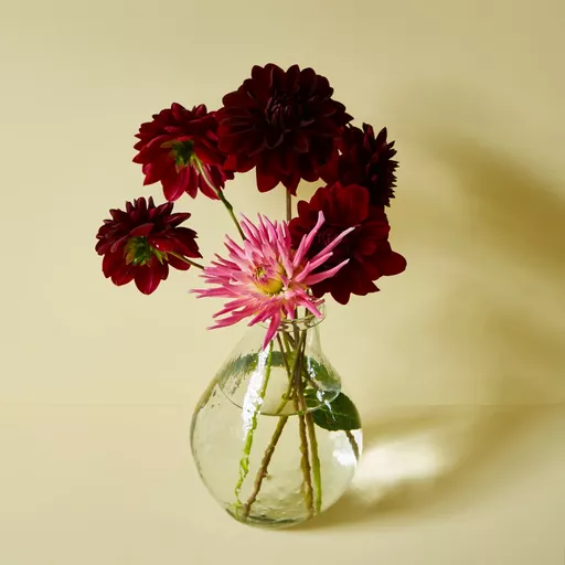 jemima wall.webp