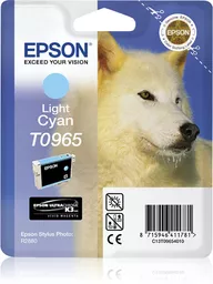 PC2MvBdyFkaWB16gpqj1pQ.c-r.jpg