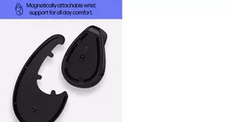YpHJgUdoBkeb53cin_jPCA.c-r.jpg?