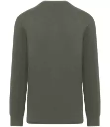 NS333%20ORK%20BACK.jpg?